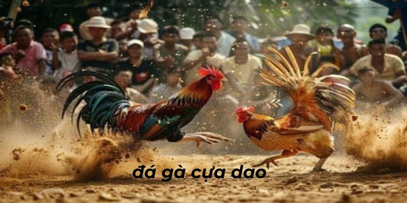 Giới thiệu chung về trò chơi đá gà cựa dao king33